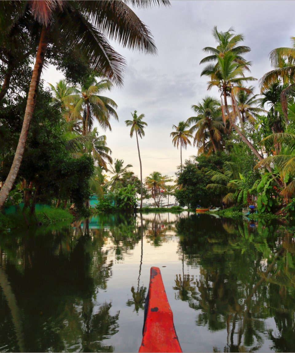 Best Kerala Backwaters Tours & Tickets