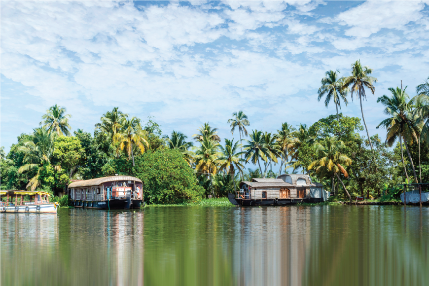 Love is in the Waters, too - ALLEPPEY