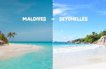 Where to Go Maldives or Seychelles for the Next Holiday