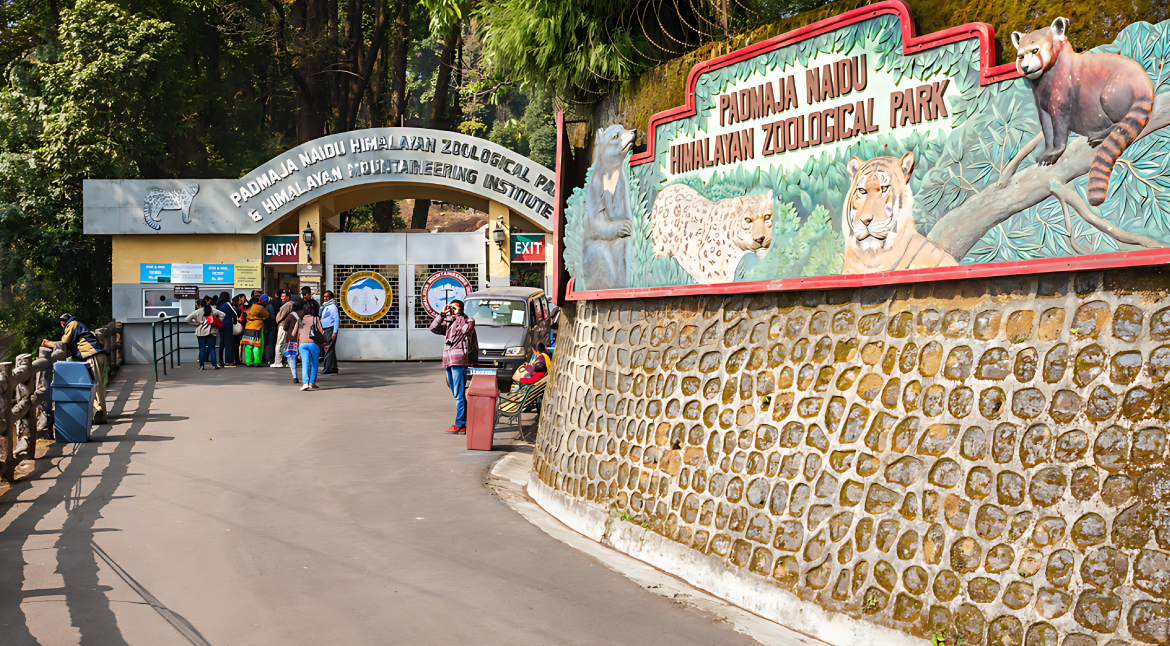 Padmaja-Naidu-Himalayan-Zoological-Park